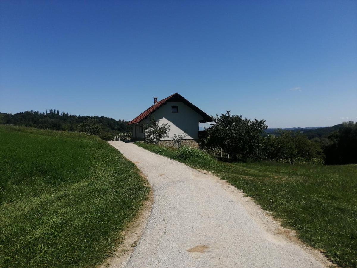 Apartma Gorca Plevnik Buce Kültér fotó