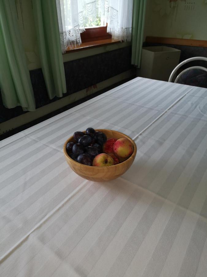 Apartma Gorca Plevnik Buce Kültér fotó