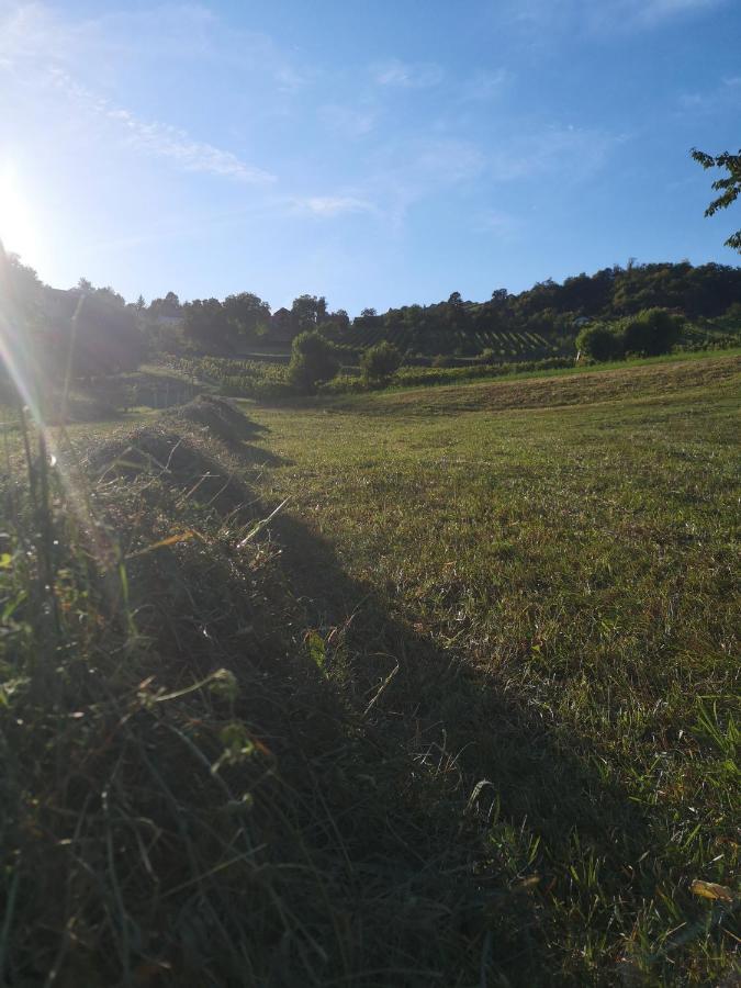 Apartma Gorca Plevnik Buce Kültér fotó
